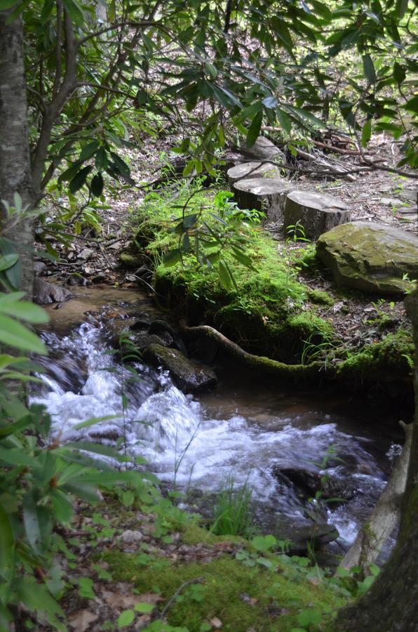 Panther Creek Cabins Cherokee Eksteriør bilde